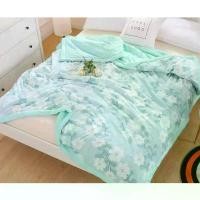 ราคา ผ้าห่ม ระบายอากาศผ้าห่ม ผ้าห่มสีพื้น ใยขนห่านเทียม ขนาด 5ฟุต 6ฟุต 7ฟุต ผ้าห่มสีพื้น ผ้าห่มลายน่ารัก สินค้าแนะนำ ชุด เครื่อง นอน ผ้าปู ที่นอน กันไรฝุ่น ห่ม hayley blanket (1731575922537696204)