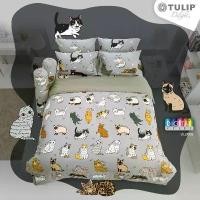 ราคา ชุดผ้าปูที่นอน+ผ้านวม ทูนหัวของบ่าว ลิขสิทธิ์แท้ Tulipลายแมว น่ารัก แบรนด์ทิวลิป ทาสแมว bedsheet ชุดเครื่องนอน cat สินค้าดี เครื่อง นอน square blankets หมอน ต้าว บูล ย์ ซั (1731575773411379481)