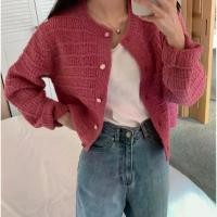 ราคา Grace. 914 เสื้อแจ็กเก็ต คอกลม แต่งกระดุม เสื้อเเขนยาวไหมพรม กระดุมหน้าใช้งานได้จริง ผ้านิ่มยืดใส่สบาย (1730909376883296734)