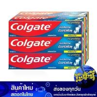 ราคา ยาสีฟัน ยอดนิยม 150 กรัม (6กล่อง) คอลเกต Colgate Popular Toothpaste เจลสีฟัน สารล้างฟัน ยาแปรงฟัน (1729756237498715035)