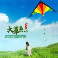 ราคา ว่าวทุ่ง, สำหรับผู้ใหญ่และผู้เริ่มต้น, พิเศษสำหรับเด็ก, ขนาดใหญ่, ของเล่นกลางแจ้ง ว่า ว ว่าวงู คันธนู ว่าวนก แอน ใบ ไม้ ว่าว (1732231199286921611)