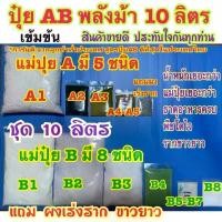 ราคา ปุ๋ย AB ชุด 10 ลิตร 3 ชุด แถม ชา 2 : ปุ๋ย สูตรพลังม้าเข้มข้น ผักไฮโดรโปนิกส์ทั้งน้ำวนและน้ำนิ่งและพ่นทางใบพืชทุกชนิด (1731358677910260733)