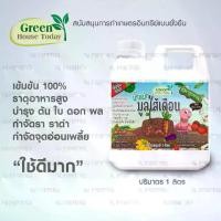ราคา น้ำหมัก มูลไส้เดือนแท้ 100% ขนาด 1 ลิตร สำหรับบำรุงพืช บำรุงดิน อินทรีย์ ฤทธิ์เย็น กำจัด เชื้อรา ราดำ น้ำหมักชีวภาพ em (1729644005751950152)