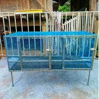 ราคา กรงอนุบาลเพราะลูกไก่ 2 ช่อง 2 ประตู (1731871682973764375)