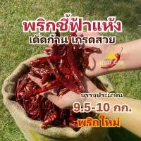 ราคา พริกแห้ง ชี้ฟ้า (เด็ด) 9.5-10 กก. คัดเกรด เม็ดยาว เม็ดใหญ่ ทำน้ำพริก ทำพริกแกง ทำพริกป่น และ อาหารอื่นๆ (1731577020645608258)