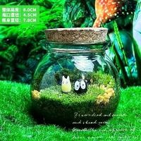 ราคา อุปกรณ์ตู้ปลา, เครื่องประดับเดสก์ท็อปภูมิทัศน์ไมโครไฟเบอร์, ขวดนิเวศขนาดเล็ก, รวมระบบนิเวศไมโครแบบสมบูรณ์, มาพร้อมเครื่องประดับน่ารักและจุก glow dark fish บัวใส่ อ่าง ปลา glo (1731506525215688162)