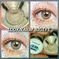 ราคา คอนแทกเลนส์ ขนาดเท่าตา Mini Lamune, Star, Flora Brown (ลายเดียวกัน) คอนแทคเลนส์ (1729584575193188748)