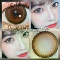 ราคา คอนแทคเลนส์ ลายฮิต ลายดัง ตากลมและโตมาก Pulery,Pure Brown (1729583431538477452)