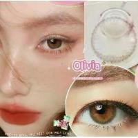 ราคา Olivia Dia 14.0 สีน้ำตาล Brown มินิ mini Contact Lens Pretty คอนแทคเลนส์ แฟชั่น ตาหวาน ตาฝรั่ง สายฝอ (1730670301658384683)