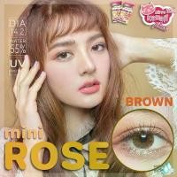 ราคา คอนแทคเลนส์(มินิ) Mini Rose Brown / Gray (Kitty Kawaii) ลายฮิต ขายดีมาก กรองแสงกันยูวี (1730761645015927224)