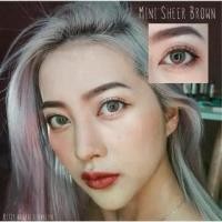 ราคา คอนแทคเลนส์ ✨ขนาดมินิ ✨Brown✨Mini Sheer (kittykawaii) Bigeyebybellies (1729799786831710733)