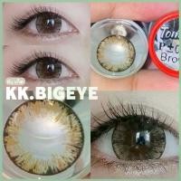 ราคา Tommy Brown เกล็ดน้ำแข็งเกล็ดหิมะ สีน้ำตาลลาย ฮิต ตาหวานเป็นประกาย คอนแทคเลนส์ (1729480414492920501)
