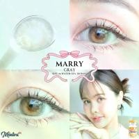 ราคา คอนแทคเลนส์ ขนาดกลาง Brown / Gray / Almond รุ่น Marry (Montra) (1730398743083584099)