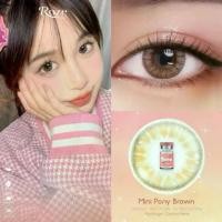 ราคา คอนแทคเลนส์ ขนาดมินิ Mini Pony (Rozelens) Brown / Gray (1730820670156474707)