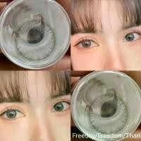 ราคา คอนแทคเลนส์ รุ่น Freeday/Thari/Freedom Gray/Brown สีเทา/ตาล สายตา (0.00)-(-10.00) เปลี่ยนแทนทุกเดือน (1729559924332202407)