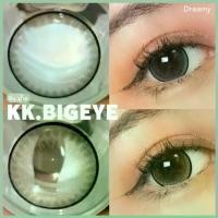 ราคา Dreamy Gray/Brown ตาโตหวานๆน่ารัก สีเทาและสีน้ำตาล คอนแทคเลนส์ Contactlens (1729507221017496245)