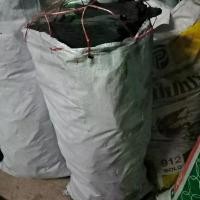ราคา ถ่านกระสอบ ถ่านยกกระสอบ ถ่านเป็นกระสอบ charcoal a sack ถ่านไม้ ขายยกกระสอบ ถ่าน charcoal จัดส่งรวดเร็ว ถ่านหุงต้ม ถ่าน (1731626082855191640)