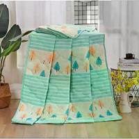 ราคา ผ้าห่มใยไหม ขนาด 6 ฟุต รุ่นบาง เนื้อนุ่ม น้ำหนักเบา ห่มสบาย คลุมเตียง ผ้าห่ม blanket (1732227194327698051)