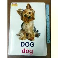 ราคา บัตรคำศัพท์ 2 ภาษา พาหนูน้อยเก่งอังกฤษ หมวด สัตว์โลกน่ารู้ (SE-ED Smart Flash Cards for Bilingual Kids) 32 แผ่นใหญ่ คําแนะนําผลิตภัณฑ์ใหม่ของเดือนนี้ (1731548447140251086)