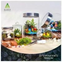 ราคา Flash Sale!!! ชุดจัดสวนขวด ครบเซ็ตพร้อมส่ง Terrarium Set ชุดจัดสวนขวดแก้ว วัสดุอุปกรณ์จัดสวนในขวด สินค้าขายดี (1731658433121323508)