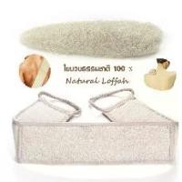 ราคา ใยบวบ ขัดผิว ใยบวบขัดผิว ใยบวบขัดหลัง ใยบวบขัดตัว Loofah ถุงมืออาบน้ำ (1729608253791504490)