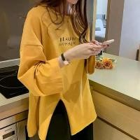 ราคา เสื้อยืดแขนยาวผู้หญิง สไตล์ฤดูใบไม้ร่วง คอกลม ผ่าข้าง เสื้อยืดพิมพ์ลายตัวอักษรฮาราจูกุ ลำลอง เสื้อยืดโอเวอร์ไซส์ เสื้อเด็กหญิง สตรีท Y2k (1731714932436076384)