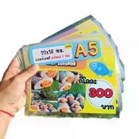 ราคา ชุดป้ายเคลือบแข็ง A5 21 แผ่น ปลาทอด & ปลาส้ม (ครบทุกเมนูขายดี) รหัส 3780 (1731724874909386739)