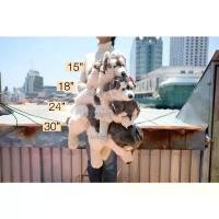 ราคา ตุ๊กตา Lying Grey & White Siberian Husky ไซบีเรียนฮัสกี้ 15/18/24/30นิ้ว ไซบีเรียน ฮัสกี้ Anee Park หมา สุนัข ตุ๊กตาหมา (1731418505436695140)