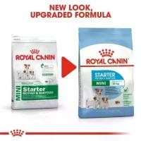 ราคา Royal canin Mini Starter 1 kgอาหารเม็ด, สุนัข สไตล์การระเบิด (1731782475057104876)