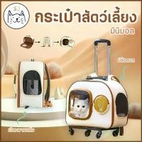 ราคา KUMAま กระเป๋าสัตว์เลี้ยง มินิมอล กระเป๋าล้อลากแมว เป้สัตว์เลี้ยง แมว สุนัข (1731445367942907328)