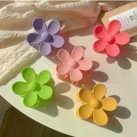 ราคา กิ๊บติดผมดอกไม้ ผิวด้าน สีพาสเทล กิ๊บติดผมผู้หญิง กิ๊บติดผม กิ๊ฟ ดอกลีลาวดี กิ๊บ โบว์ คิตตี้ กิ๊ฟช็อป (1731254181610424293)
