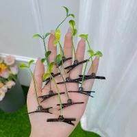 ราคา กิ๊บติดผมต้นกล้าถั่วประดิษฐ์ ดีไซน์น่ารัก สำหรับสาวๆ และเด็ก มีหญ้าไว้บนศีรษะ ขายเป็น 1 ชิ้น กิ๊บ ต้นจั๋ง (1732241265289497378)