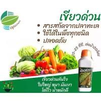ราคา น้ำหมักชีวภาพ จากปลาทะเล (สารอินทรีย์) สารบำรุงพืช ผัก ผลไม้ ไม้ดอก ทุกชนิด สินค้าแนะนำ (1731470576196617980)