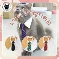 ราคา COD เนคไทสัตว์เลี้ยง สุนัข หมา แมวปลอกคอสัตว์เลี้ยง เนคไท ปรับสายได้ ดีไซน์เรียบหรู ราคาถูก พร้อมส่ง️ (1731753682847171833)