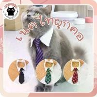 ราคา เนคไทสัตว์เลี้ยง สุนัข หมา แมวปลอกคอสัตว์เลี้ยง เนคไท ปรับสายได้ ดีไซน์เรียบหรู ราคาถูก พร้อมส่ง❤️ (1731586122207758121)