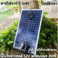 ราคา ปั้มน้ำโซล่าเซลล์ ปั้มโซล่าเซลล์ 12V ปั้มโซล่าเซลล์ dc แผงโซล่าเซลล์ 30W โซล่าเซลล์ปั้ม ปั้มจุ่มโซล่าเซลล์ ปั้มโซล่า ปั้มบ่อปลา ชุดสำเร็จ ชุดพร้อมใช้ แผงโซล่าเซลล์ โซล่าเซลล์ (1730365010317576407)