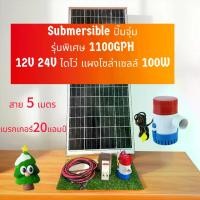ราคา ชุดโซลาร์เซลล์ ปั๊มจุ่ม DC 1100GPH 12V ไดโว่ ปั๊มแช่ ปั๊มจุ่ม โซล่าเซลล์ ไดโว่อลูมิเนียม ปั๊มน้ำ (1731394703458339009)