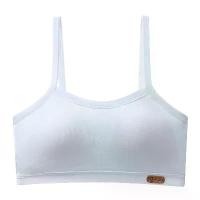 ราคา ชุดชั้นในเด็กหญิง, มัธยมต้น, นักเรียนวัยรุ่น, เสื้อชั้นใน, เสื้อชั้นใน, เหมาะสำหรับเยาวชน, ชุดชั้นในในช่วงพัฒนาการ (1731439265300841682)