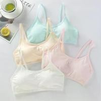 ราคา เสื้อชั้นในเด็ก, ชุดชั้นในเด็กหญิง, เสื้อชั้นในฝึกวัยรุ่น, ทำจากผ้าฝ้าย, เสื้อท่อนบน, เหมาะสำหรับเด็กผู้หญิง, เสื้อชั้นในกีฬา (1730569466080364719)