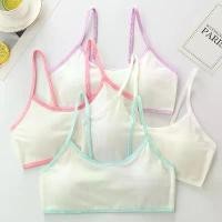 ราคา ชุดชั้นในเด็กหญิง เสื้อซับใน วัยรุ่น แบบสวม มีฟองน้ำ (1729663056544238237)