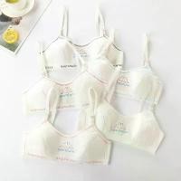 ราคา ชุดชั้นในเด็กหญิง ทรงบราทรงสปอร์ต แบบตะขอ สายปรับได้ (1729703639552919593)