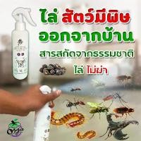 ราคา สเปรย์นาโนไล่ยุงใช้ดีมากสุนัขแมวเลียได้ปลอดภัย บำรุงขนเชื้อรายีสต์แบคทีเรียสุนัข 200ml แมม โม่ แมว พั้น (1731804238483523557)