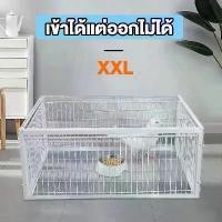 ราคา เพนียดดักนก กรงดักนก กรกดักนกเขา กรงกับดักนกพิราบ กรงนกพิราบ ที่ดักนก กรงนกทางเดียว กรงต่อนก กะทะ แมว เก้าอี้แมวนอน (1731339260739160442)