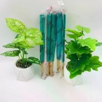 ราคา ธูปหอมสมุนไพรไล่ยุง สีเขียว Set 20 ห่อ (30 ก้าน) ยากันยุง สมุนไพรไล่ยุง - สเปรย์ (1730867561528002887)