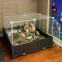 ราคา กรงผสมพันธุ์ไก่, เป็นมิตรกับสิ่งแวดล้อม, รูทิก, ไก่พันธุ์ฟรี, กล่องผสมพันธุ์, นกพิราบ, นก, โคลน, เป็ด, กรงพิเศษ, ตกแต่งภูมิทัศน์, สำหรับกระท่อม รัง นกหงส์หยก ครืน ดักนกกวัก 70 บ่ (1731675406625900393)