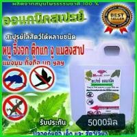 ราคา playmashop คุณภาพรับประกันได้ ไล่หนู (RAT) **5 ลิตร**ไล่จิ้งจก (Lizard)ไล่ตุ๊กแก ไล่กระรอก นก แมลงสาบ ชนิดปลอดสารเคมี สเปรย์ spray (1730459468540184850)