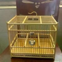 ราคา กรงนกไม้ไผ่ ขนาดเล็ก เหมาะสำหรับนกแก้วขนาดเล็ก นกอินทรี นก Bettailer นกสีเหลือง นกถั่วเหลือง และนกหยกมุก [รวบรวมโดย 2315] ที่ ดักนก คุ้ม ครืน ดักนกกวัก 70 บ่วง (1731652835806315891)