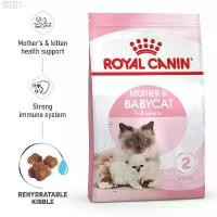 ราคา Royal Canin Mother&Babycat 4kg ขาย ร้อน (1731663870066263129)