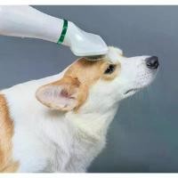 ราคา แปรงหวีไดร์เป่าขนสุนัข ผ่อนคลาย สบายมากๆ แปรงหวีขนสุนัขและแมว ไดร์เป่าขนสุนัขและแมว แปรงหวีขนแมว ที่เป่าขนสุนัขและแมว ขาย (1731782850698642827)