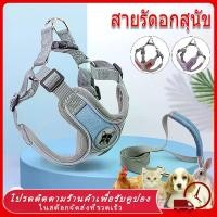 ราคา 【พร้อมส่ง】สายจูงสุนัข สายรัดอกสุนัข ระบายความร้อน สำหรับหมาและแมว พันธุ์กลาง-ใหญ่ หลายสี หลายไซส์ สายจูงหมา เสื้อรัดอกสุนัข หมา สัตว์เลี้ยง ราคาถูก พร้อมส่ง COD (1730275468957288944)